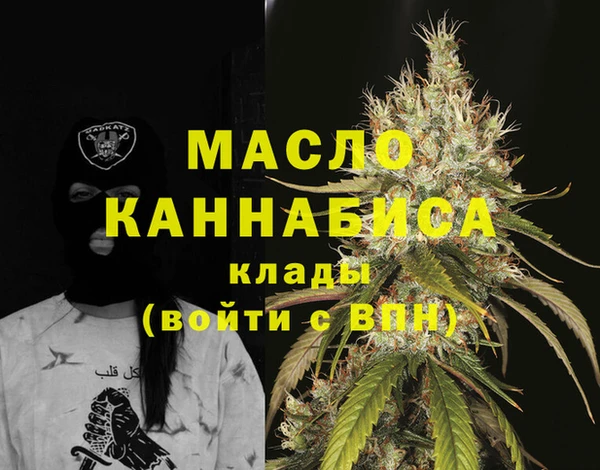 индика Киренск