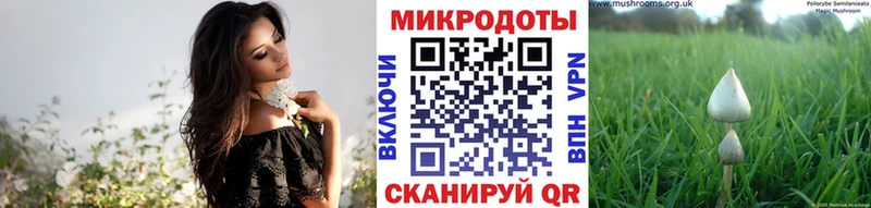 shop какой сайт  Кинешма  Псилоцибиновые грибы Cubensis  купить наркоту 